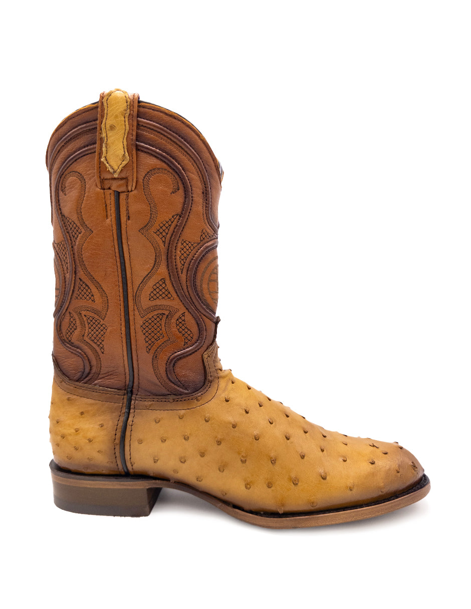 Avestruz Original Oval-Tacoma Camel Para Caballero