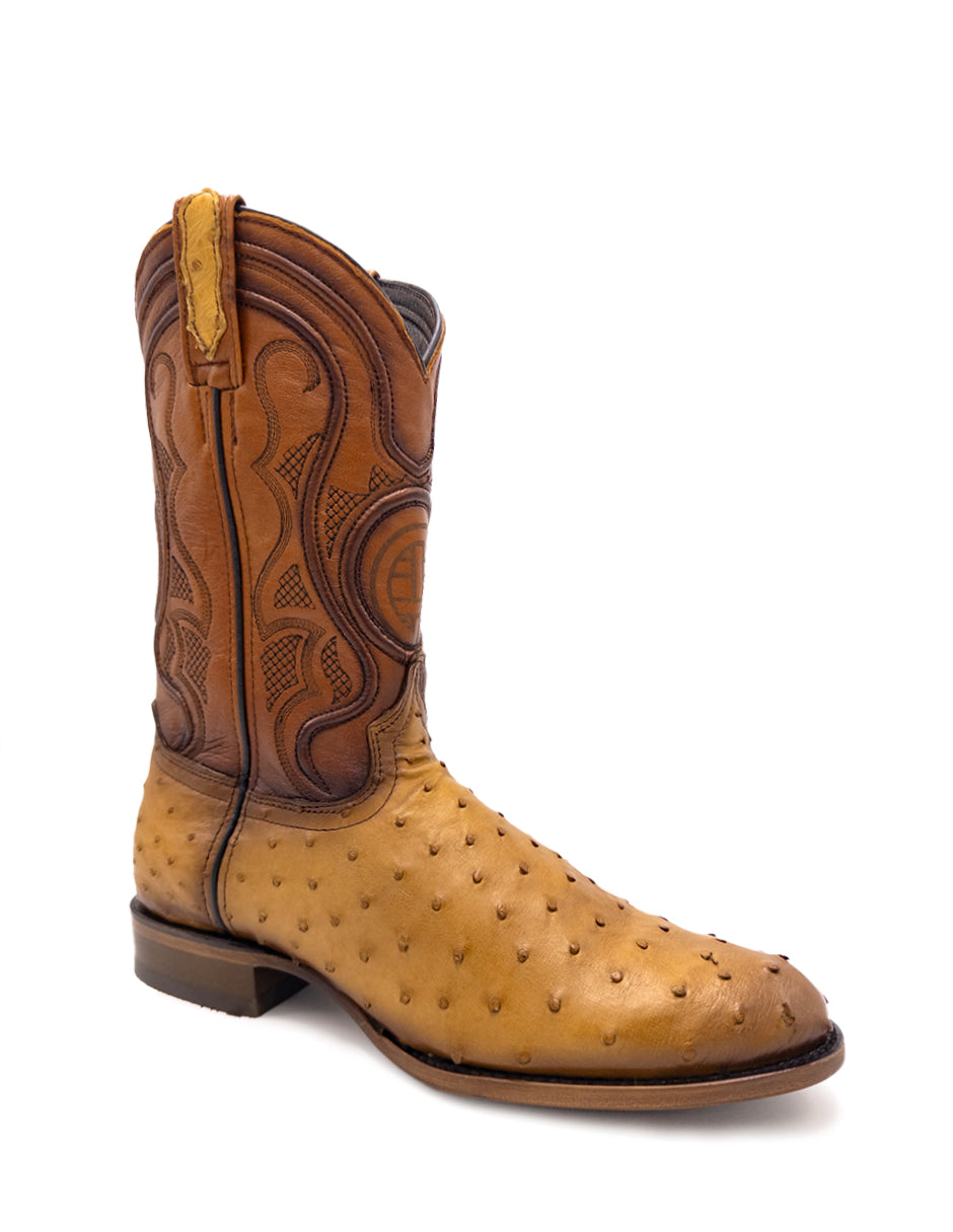 Avestruz Original Oval-Tacoma Camel Para Caballero