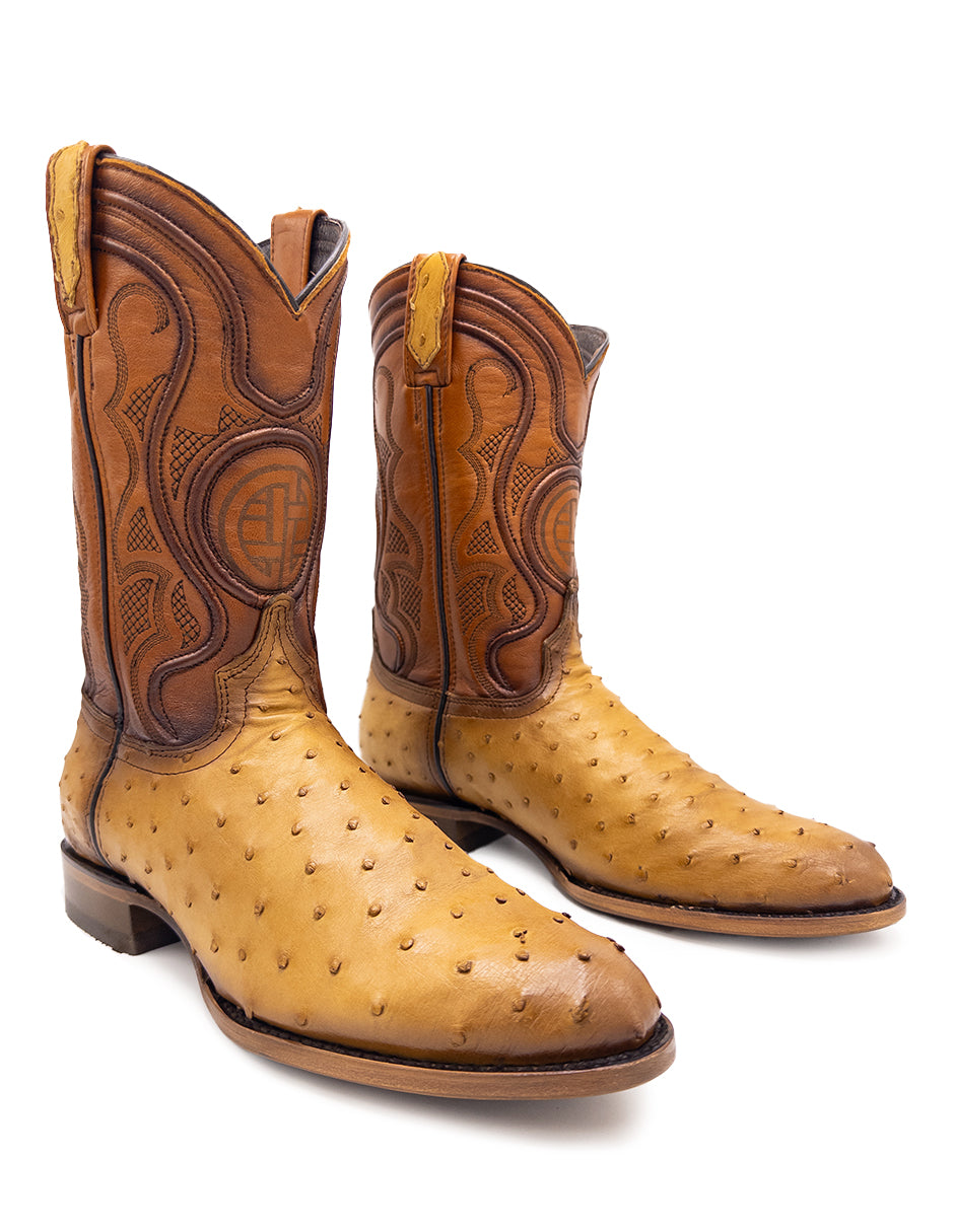 Avestruz Original Oval-Tacoma Camel Para Caballero