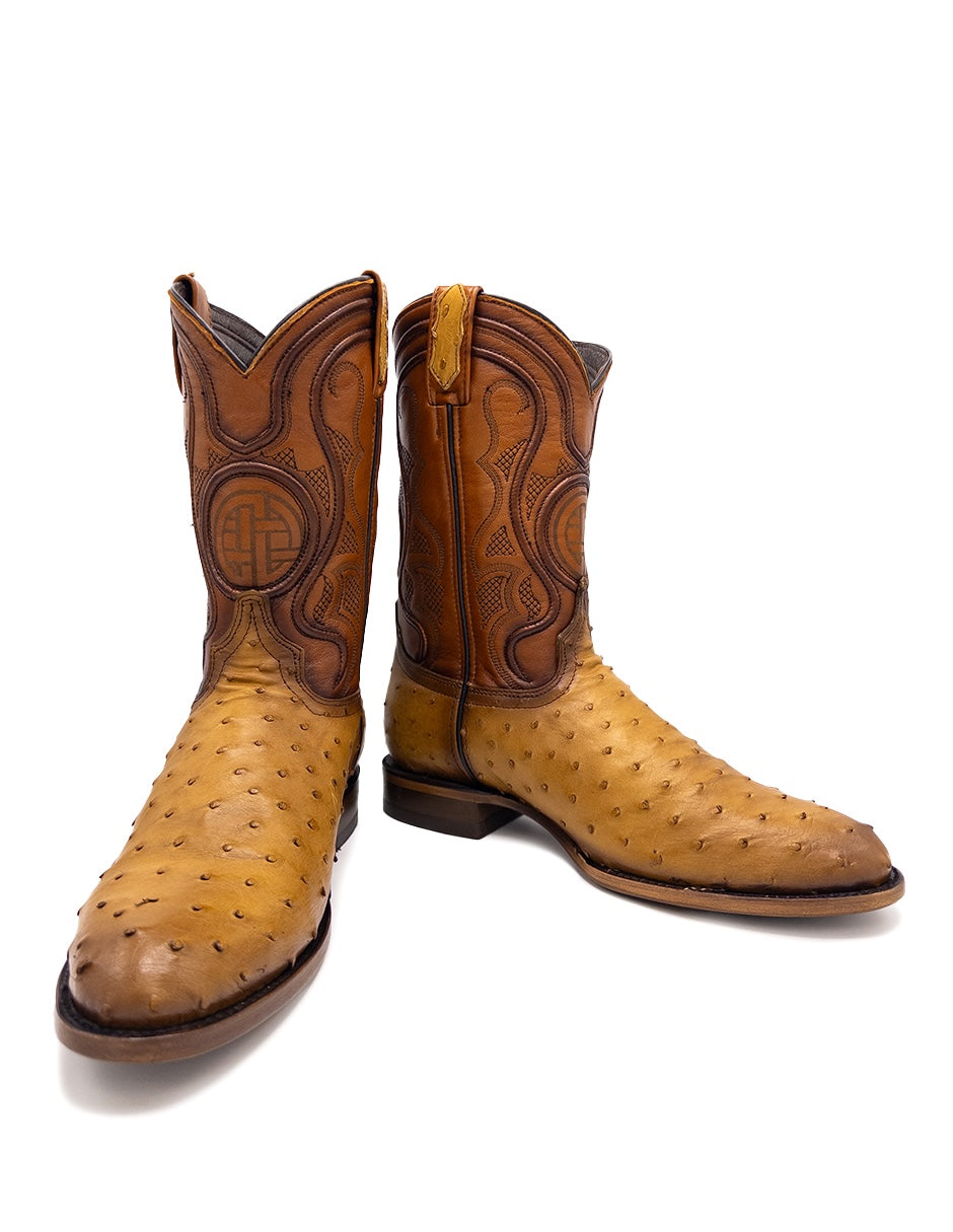 Avestruz Original Oval-Tacoma Camel Para Caballero