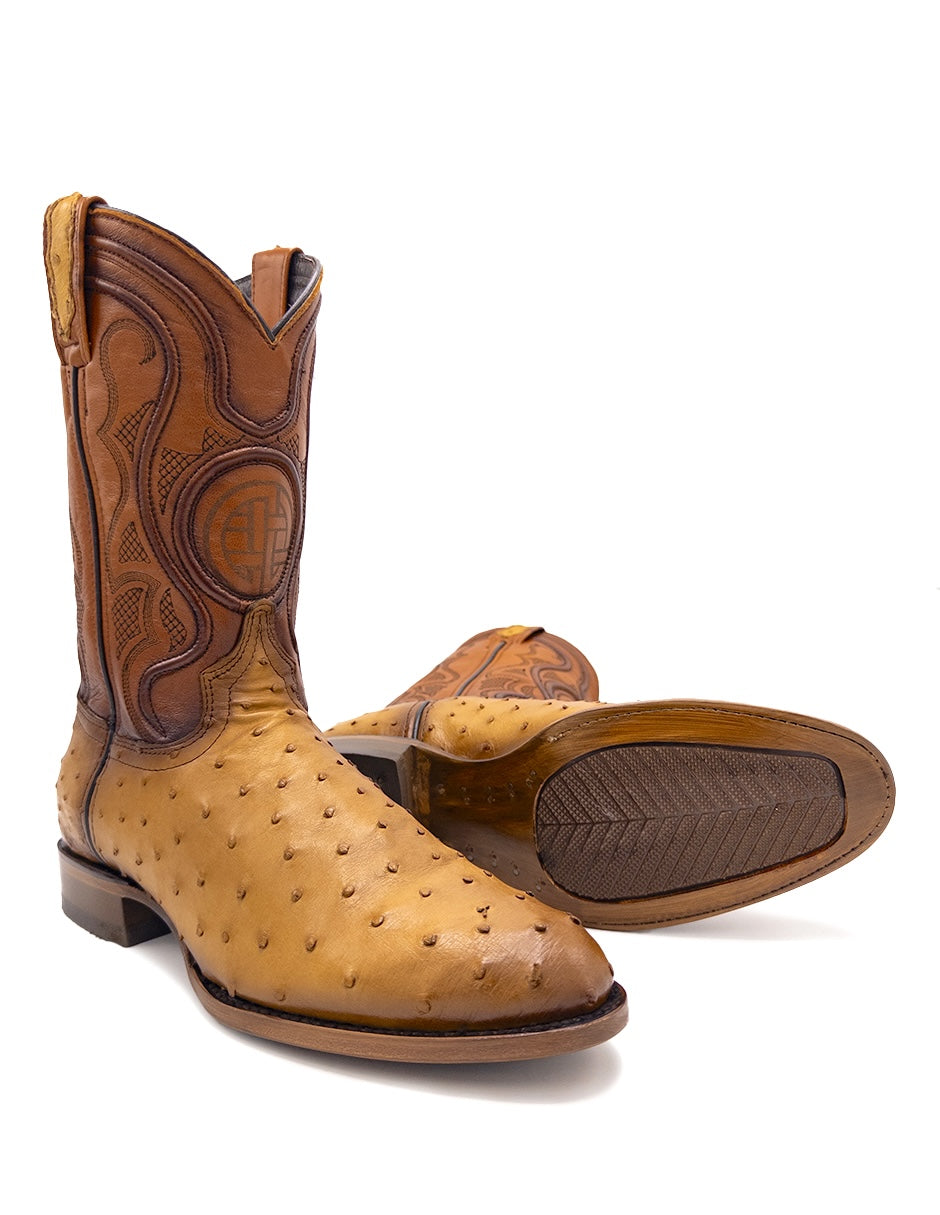 Avestruz Original Oval-Tacoma Camel Para Caballero