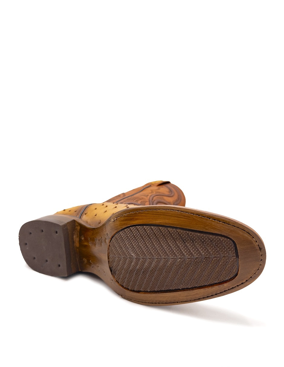 Avestruz Original Oval-Tacoma Camel Para Caballero