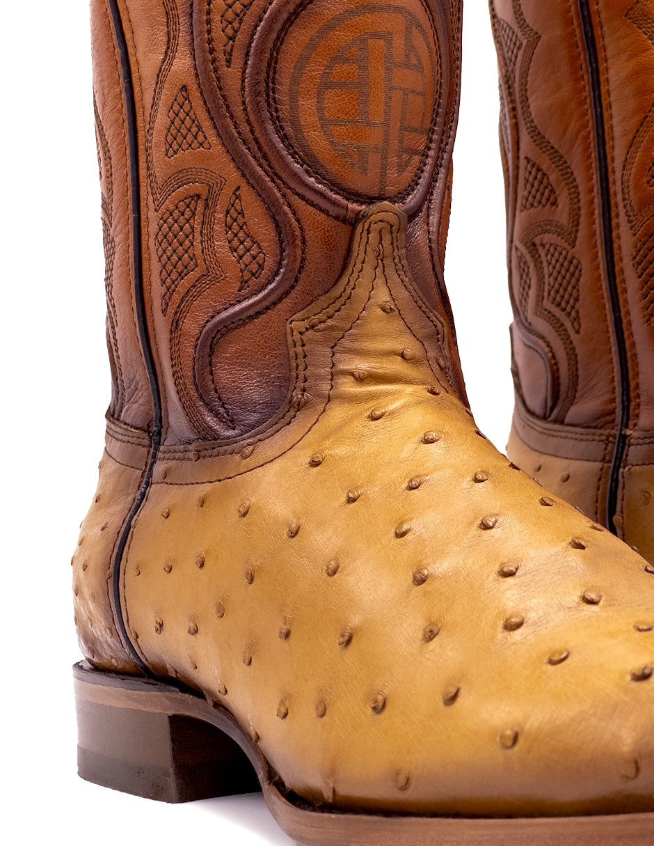 Avestruz Original Oval-Tacoma Camel Para Caballero