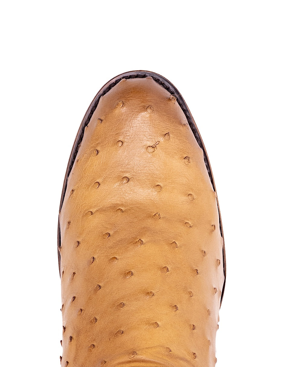 Avestruz Original Oval-Tacoma Camel Para Caballero
