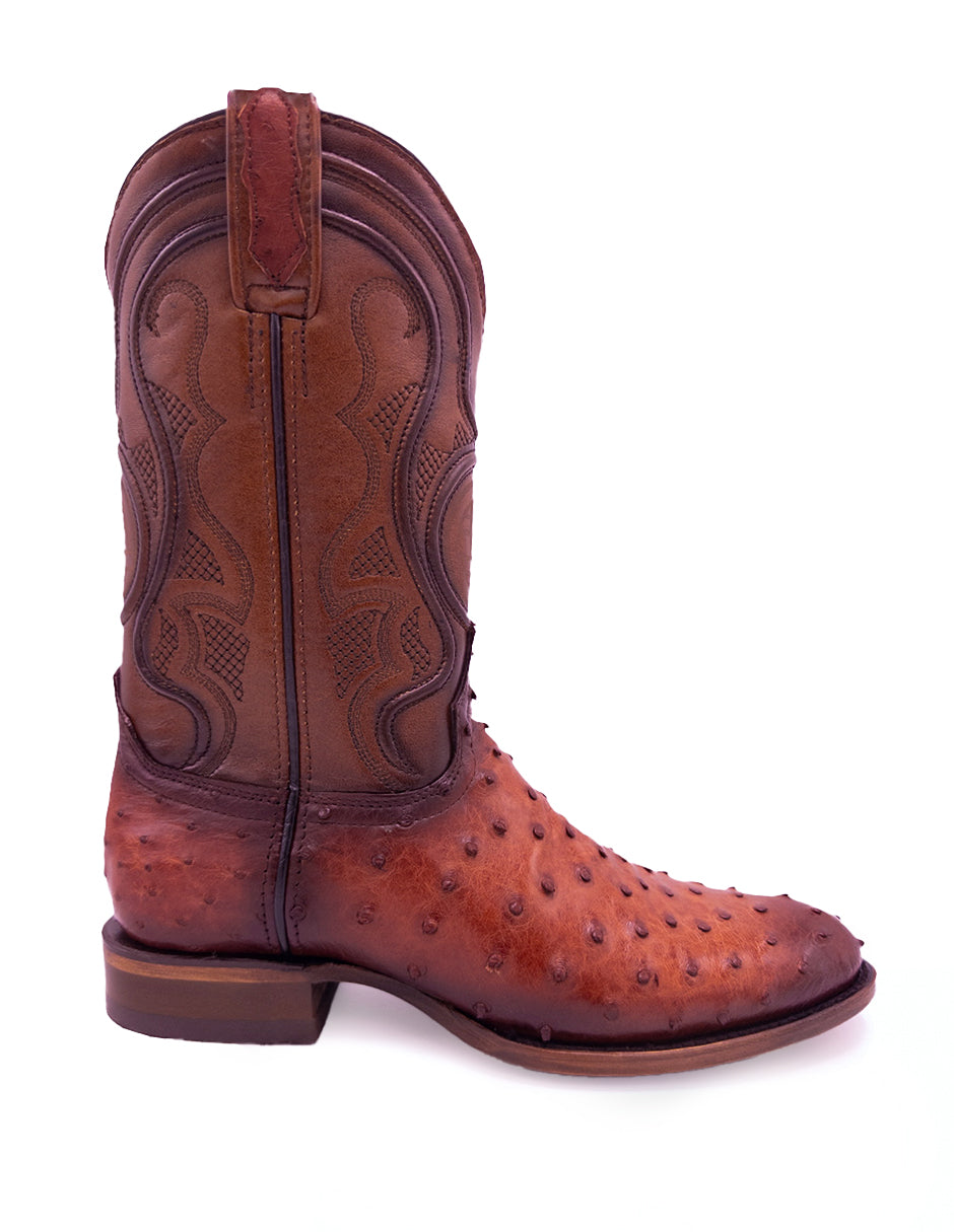 Avestruz Original Oval-Tacoma Shedron Para Caballero
