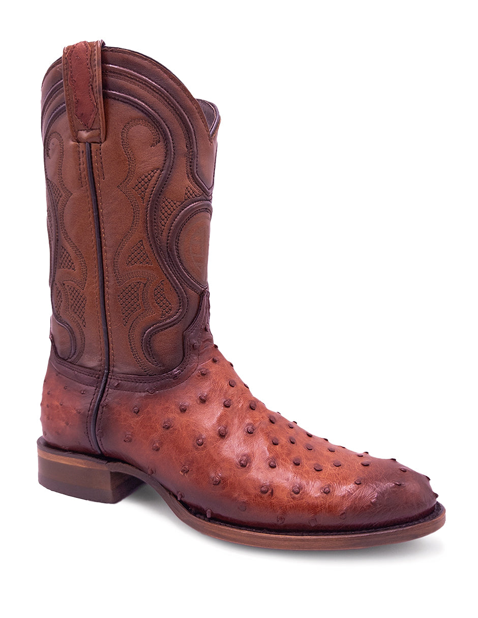Avestruz Original Oval-Tacoma Shedron Para Caballero
