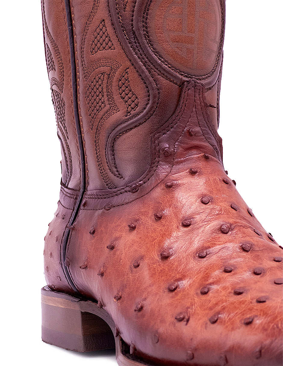 Avestruz Original Oval-Tacoma Shedron Para Caballero