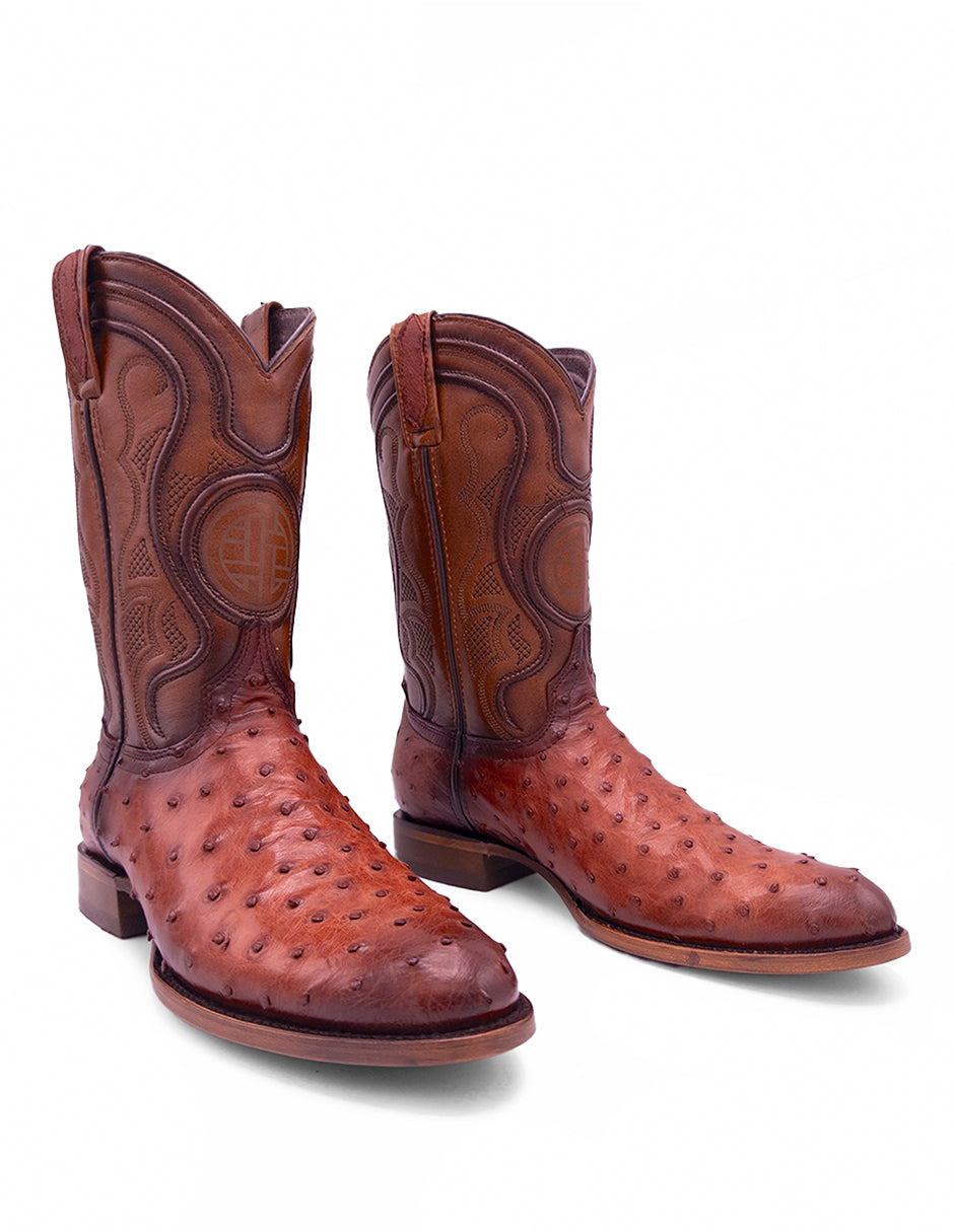 Avestruz Original Oval-Tacoma Shedron Para Caballero