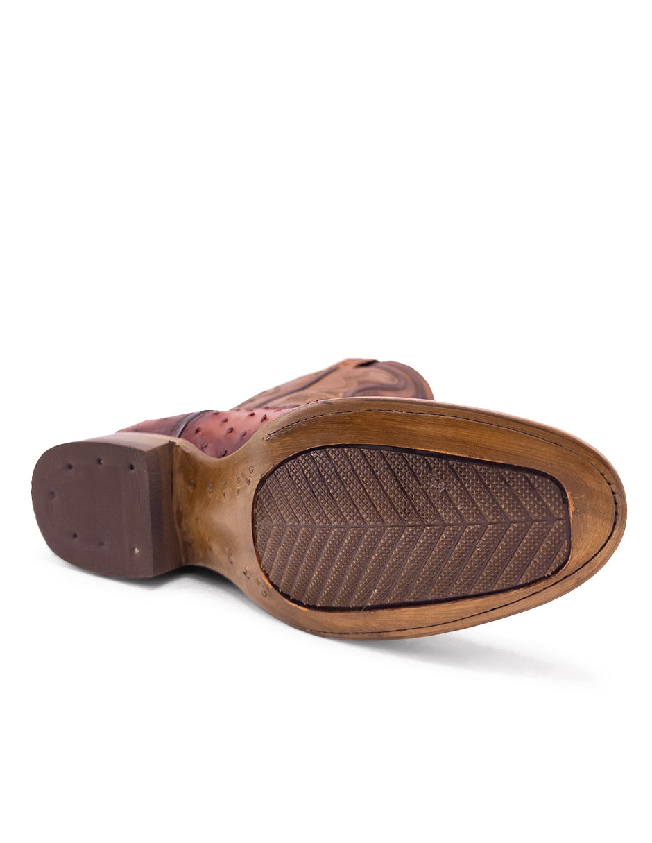 Avestruz Original Oval-Tacoma Shedron Para Caballero