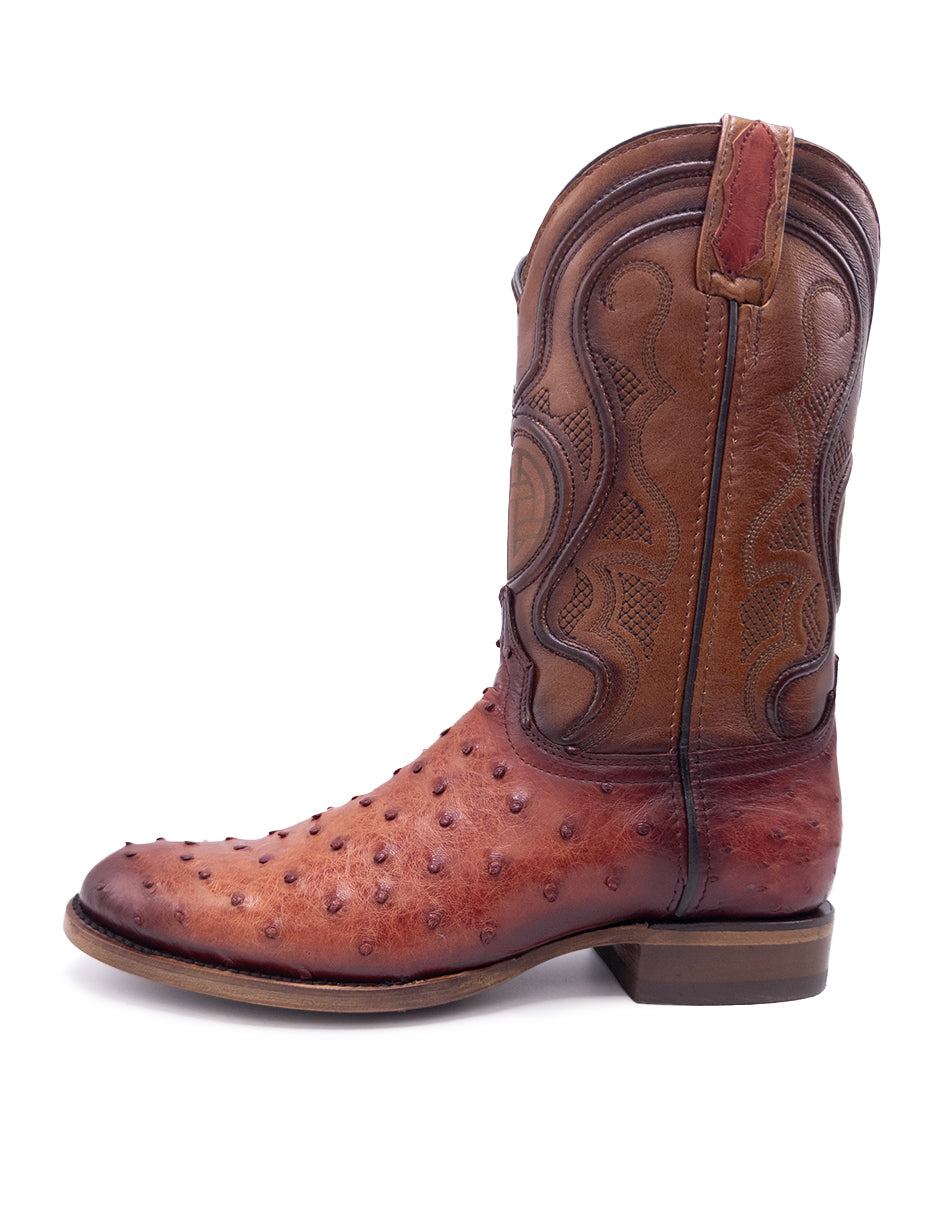 Avestruz Original Oval-Tacoma Shedron Para Caballero