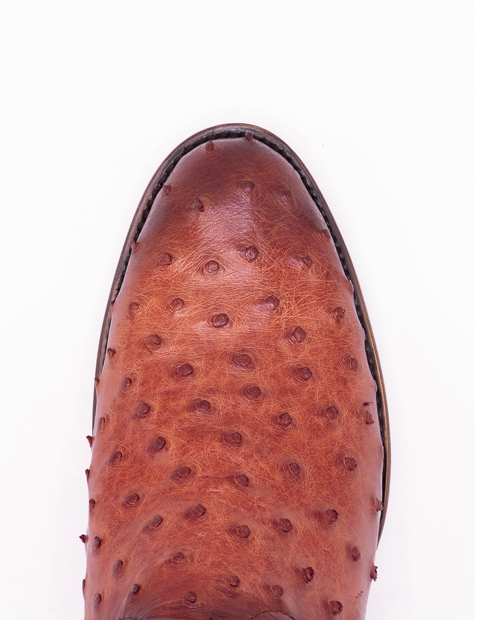 Avestruz Original Oval-Tacoma Shedron Para Caballero