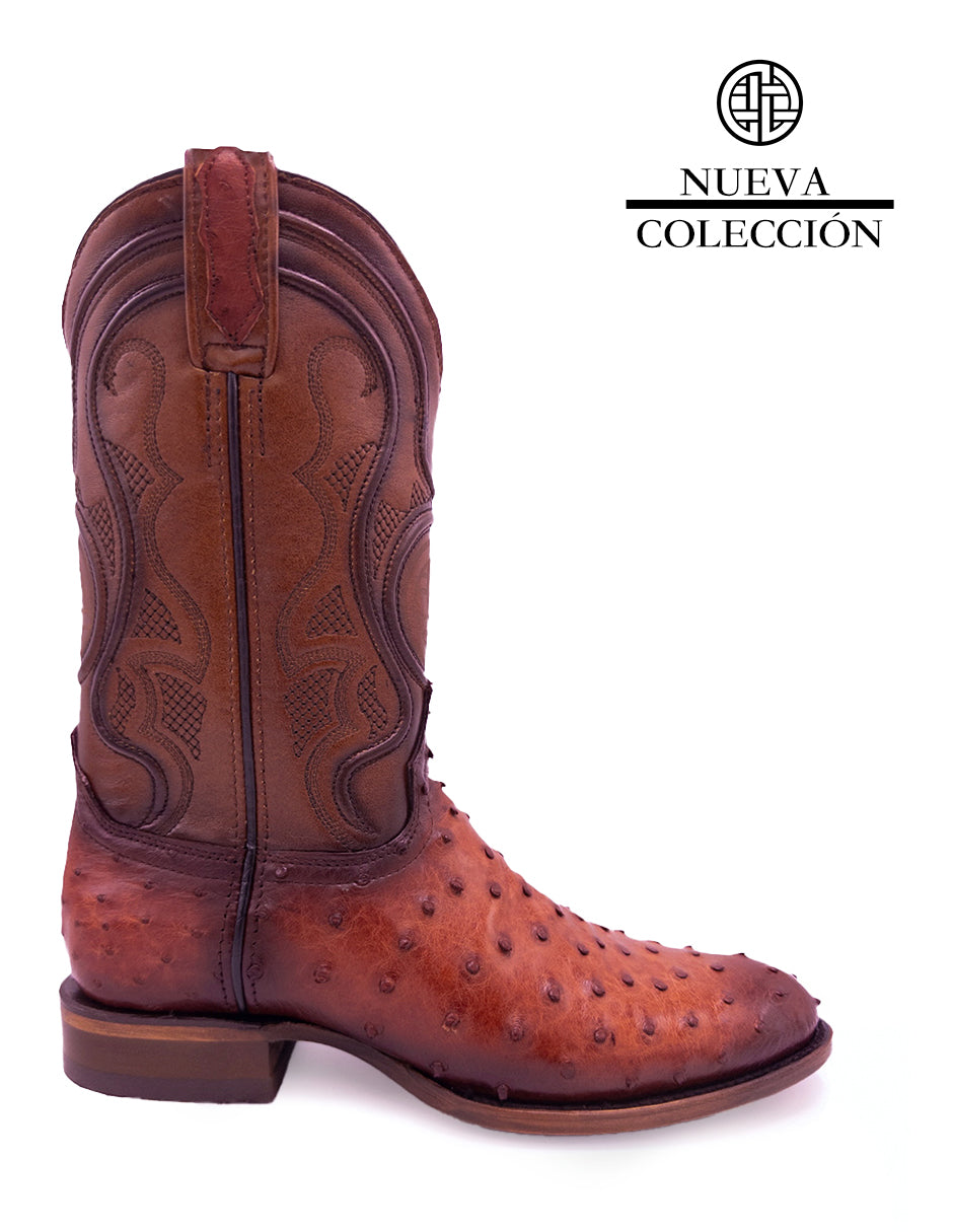 Avestruz Original Oval-Tacoma Shedron Para Caballero